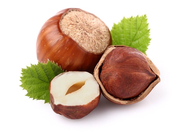 Hazelnoot bavaroise slofje